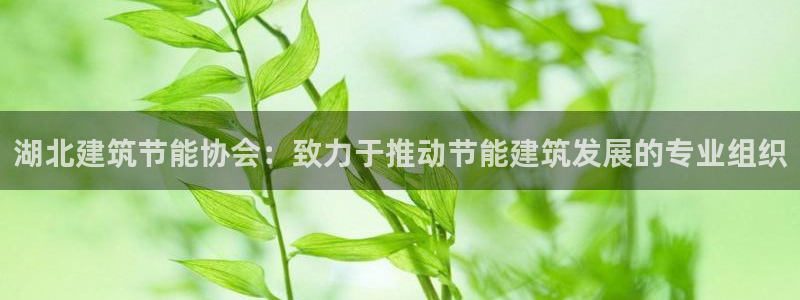 谁知道e尊国际的网址：湖北建筑节能协会：致力于推动节能建筑发展的专业组织