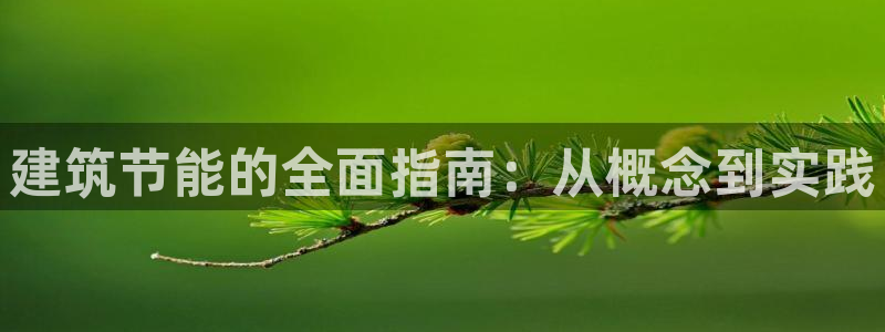 e尊国际可靠吗