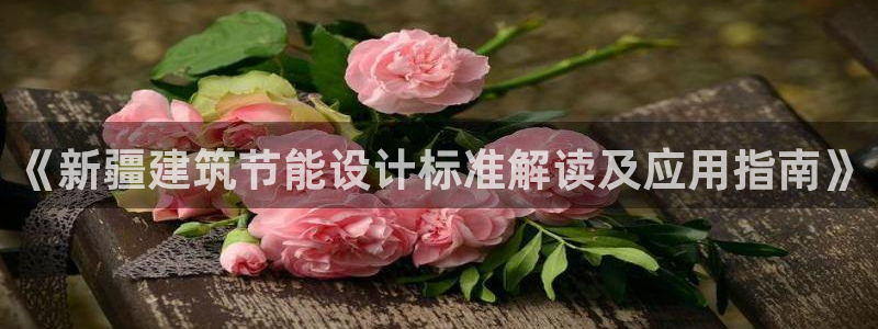 e尊国际官网：《新疆建筑节能设计标准解读及应用指南》