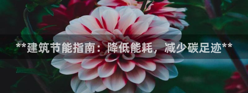e尊国际娱乐官网下载：**建筑节能指南：降低能耗，减少碳足迹**