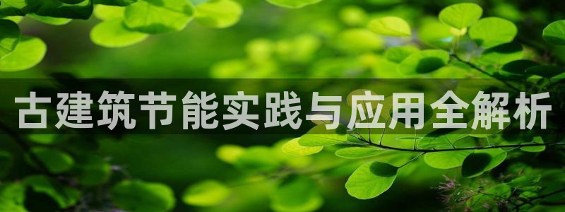 e尊国际官网：古建筑节能实践与应用全解析