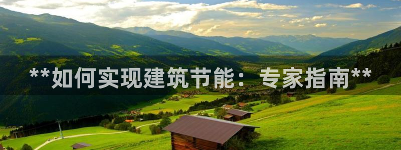 e尊国际地址：**如何实现建筑节能：专家指南**