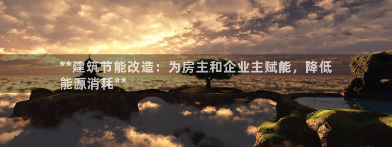 e尊国际可靠吗：**建筑节能改造：为房主和企业主赋能，降低
能源消耗**