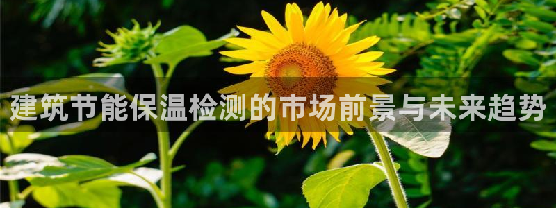 E尊国际：建筑节能保温检测的市场前景与未来趋势