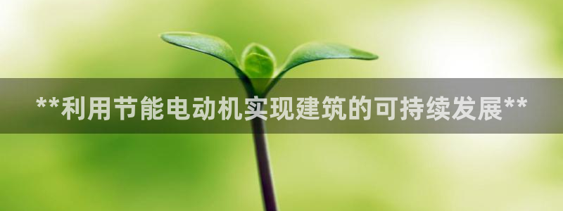 e尊国际官网app：**利用节能电动机实现建筑的可持续发展**