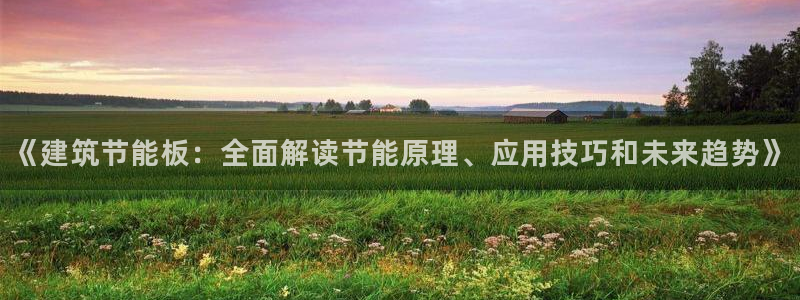 e尊电竞：《建筑节能板：全面解读节能原理、应用技巧和未来趋势》